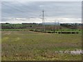 Stubble near Leitholm