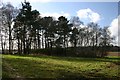 Tumulus at Garboldisham Common