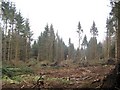 Storm damage, Berryhill