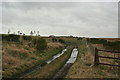 A sodden lane to Culvie Croft