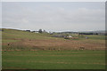 Across the fields to Wester Culvie.