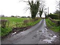 Road at Gortrany