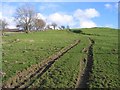 Track Junction at Pen-y-bryn Farm