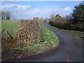 Country Lane near Trolliloes, east of Cowbeech