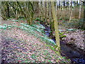 Small Burn Beside Blairhall Road