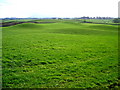 Green Rolling Field Near Kirkton