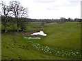 Watery Hollow Near Auchencairn