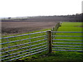 Fields Near Amisfield