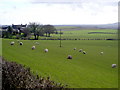 Fields at Pierbanks