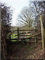 Stile and footpath sign, Godshill