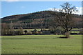 Fields End, near Weobley