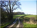 Colley Broach Road east of Newburgh Priory