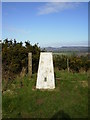 Triangulation Pillar at 132m ASL above Lists House Husthwaite