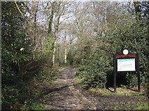 SU7408 : Entrance to Hollybank Wood by Graham Horn