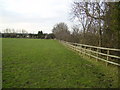 Field hedgerow at Staveley