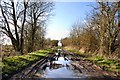 Muddy byway to Botesdale