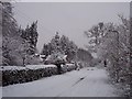 Winter on Heyford Hill Lane