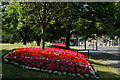 Floral display centre of Bingley