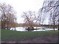 Ornamental pond at Willow Farm