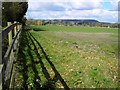 Field near Southcott, Wiltshire