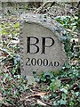 Burrington Parish Boundary Stone