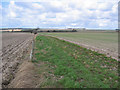 SE9658 : Low Farm Farmland by Stephen Horncastle