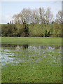 Water logged field