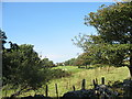 Fferm Bryngwyn Farm