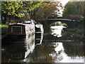 SO8785 : Newtown Bridge, Stourbridge Canal. by Peter Wasp