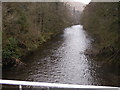 River Esk from The Duchess Bridge