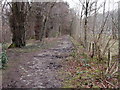 Footpath along side the River Esk