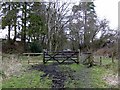 Old Whitby and Pickering original railway line near Goathland