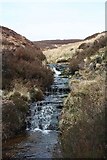 SK1497 : Coldwell Clough by Dave Dunford