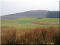 Water treatment works and Seamab Hill