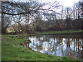 Pond by Squalls Lane, Ansty