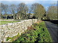 Brackenber Lodge, Shap