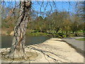 NZ4832 : Ward Jackson Park Pond by Richard Lees