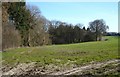 Field & Woodland on southern slopes of South Downs