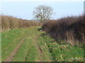 Bridleway North of Barleycroft Farm