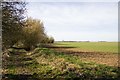 Little Green, Gislingham, Suffolk