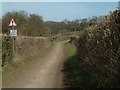 Green Lane near Grub Wood