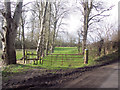 Footpath to Choulston Farm