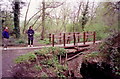 Footbridge next to the shot tower, Crane Park