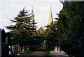 Shacklegate Lane cemetery, Teddington