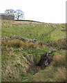 Waterfall on tributary of Oakenclough Brook