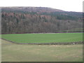 Farmland, bend in the River Esk & Langfauld Wood