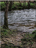 SX7988 : River Teign by Derek Harper