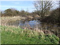 Corner of Moat, Besthorpe