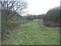 Railway trackbed, Cloud Hill