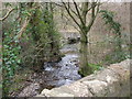 Afon Nant-y-garth from Pont Fodolydd looking downstream